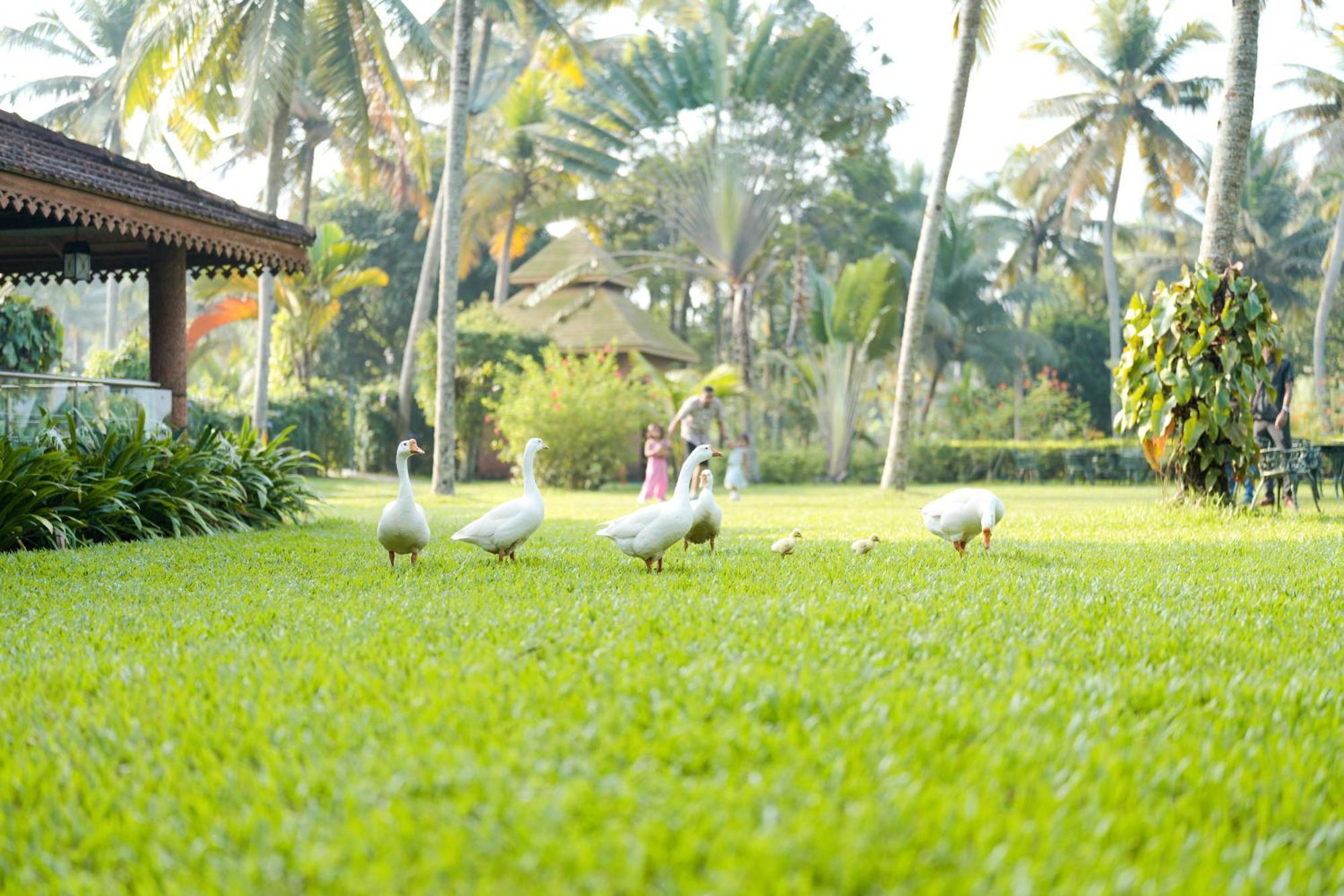 Lakesong Resort Kumarakom Exterior photo